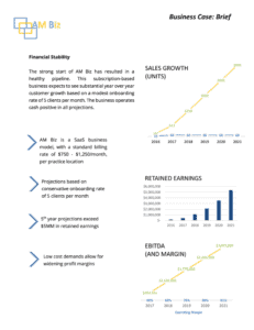 Professional Business Plan Writer Investor Pitch